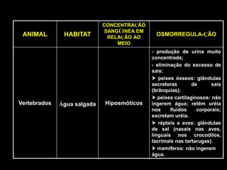 CONCENTRAÇÃO
                             SANGÜÍNEA EM
 ANIMAL        HABITAT        RELAÇÃO AO
                                             OSMORREGULA-ÇÃO
                                 MEIO
                                            - produção de urina muito
                                            concentrada;
                                            - eliminação do excesso de
                                            sais:
                                             peixes ósseos: glândulas
                                            secretoras       de      sais
                                            (brânquias);
                                             peixes cartilaginosos: não
Vertebrados   Água salgada   Hiposmóticos   ingerem água; retêm uréia
                                            nos     fluidos    corporais;
                                            excretam uréia.
                                             répteis e aves: glândulas
                                            de sal (nasais nas aves,
                                            linguais nos crocodilos,
                                            lacrimais nas tartarugas).
                                             mamíferos: não ingerem
                                            água.
 