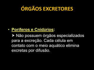 ÓRGÃOS EXCRETORES


• Poríferos e Cnidários:
   Não possuem órgãos especializados
  para a excreção. Cada célula em
  contato com o meio aquático elimina
  excretas por difusão.
 