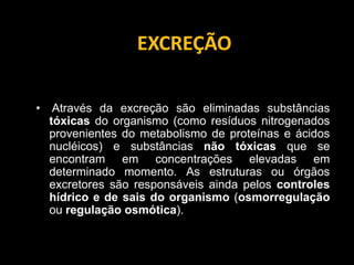 EXCREÇÃO

•    Através da excreção são eliminadas substâncias
    tóxicas do organismo (como resíduos nitrogenados
    provenientes do metabolismo de proteínas e ácidos
    nucléicos) e substâncias não tóxicas que se
    encontram em concentrações elevadas em
    determinado momento. As estruturas ou órgãos
    excretores são responsáveis ainda pelos controles
    hídrico e de sais do organismo (osmorregulação
    ou regulação osmótica).
 