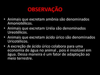 OBSERVAÇÃO
• Animais que excretam amônia são denominados
  Amoniotélicos.
• Animais que excretam Uréia são denominados
  Ureotélicos.
• Animais que excretam ácido úrico são denominados
  Uricotélicos.
• A excreção de ácido úrico colabora para uma
  economia de água no animal , pois é insolúvel em
  água. Dessa maneira é um fator de adaptação ao
  meio terrestre.
 