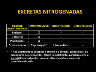EXCRETAS NITROGENADAS

    FILOS DE       AMONIOTÉLICOS       UREOTÉLICOS        URICOTÉLICOS
INVERTEBRADOS
    Poríferos              X                                    
   Cnidários               X                                    
  Platelmintos             X                                    
 Nematelmintos      X (principal) *    X (secundária)            

• * Nos invertebrados aquáticos a amônia é o principal produto final do
  catabolismo de aminoácidos. Alguns nematelmintos parasitas, como o
  Ascaris (lombriga) podem excretar, além da amônia, uma certa
  quantidade de uréia.
 