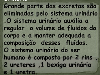Urinário
Grande parte das excretas são
eliminadas pelo sistema urinário
.O sistema urinário auxilia a
regular o volume de fluidos do
corpo e a manter adequada a
composição desses fluídos.
O sistema urinário do ser
humano é composto por 2 rins ,
2 ureteres ,1 bexiga urinária
e 1 uretra.
 