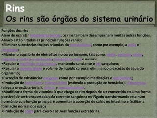 Rins
Os rins são órgãos do sistema urinário
.Funções dos rins
Além de excretar substâncias tóxicas, os rins também desempenham muitas outras funções.
Abaixo estão listadas as principais funções renais:
•Eliminar substâncias tóxicas oriundas do metabolismo, como por exemplo, a uréia e
creatinina;
•Manter o equilíbrio de eletrólitos no corpo humano, tais como: sódio, potássio, cálcio,
magnésio, fósforo, bicarbonato, hidrogênio, cloro e outras;
•Regular o equilíbrio ácido-básico, mantendo constante o pH sanguíneo;
•Regular a osmolaridade e volume de líquido corporal eliminando o excesso de água do
organismo;
•Excreção de substâncias exógenas como por exemplo medicações e antibióticos;
•Produção de hormônios: eritropoietina (estimula a produção de hemácias), aldosterona
(eleva a pressão arterial), cininas e prostaglandinas.
•Modificar a forma da vitamina D que chega ao rim depois de ser convertida em uma forma
possível de ser transportada pela corrente sanguínea no Fígado transformando esta num
hormônio cuja função principal é aumentar a absorção de cálcio no intestino e facilitar a
formação normal dos ossos
•Produção de urina para exercer as suas funções excretórias.
 