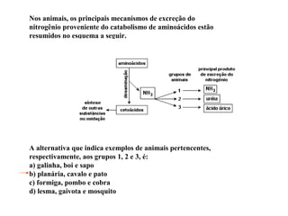 Nos animais, os principais mecanismos de excreção do
nitrogênio proveniente do catabolismo de aminoácidos estão
resumidos no esquema a seguir.
A alternativa que indica exemplos de animais pertencentes,
respectivamente, aos grupos 1, 2 e 3, é:
a) galinha, boi e sapo
b) planária, cavalo e pato
c) formiga, pombo e cobra
d) lesma, gaivota e mosquito
 