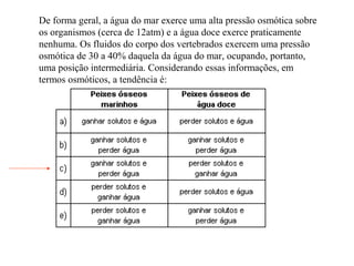 De forma geral, a água do mar exerce uma alta pressão osmótica sobre
os organismos (cerca de 12atm) e a água doce exerce praticamente
nenhuma. Os fluidos do corpo dos vertebrados exercem uma pressão
osmótica de 30 a 40% daquela da água do mar, ocupando, portanto,
uma posição intermediária. Considerando essas informações, em
termos osmóticos, a tendência é:
 