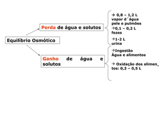 Equilíbrio Osmótico
Perda de água e solutos
 0,8 – 1,2 L
vapor d´água
pele e pulmões
0,1 – 0,2 L
fezes
1-2 L
urina
Ganho de água e
solutos
Ingestão
Água e alimentos
 Oxidação dos alimen_
tos: 0,3 – 0,5 L
 