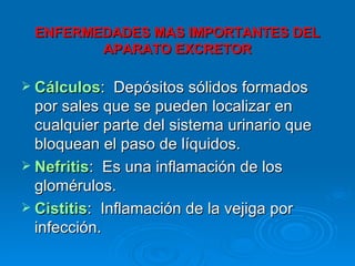 ENFERMEDADES MAS IMPORTANTES DEL APARATO EXCRETOR Cálculos :  Depósitos sólidos formados por sales que se pueden localizar en cualquier parte del sistema urinario que bloquean el paso de líquidos. Nefritis :  Es una inflamación de los glomérulos. Cistitis :  Inflamación de la vejiga por infección. 