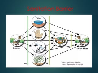 Excreta Disposal explanation in community medicine | PPTX