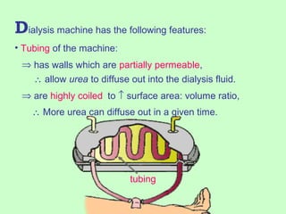 Dialysis machine has the following features:
• Tubing of the machine:
⇒ has walls which are partially permeable,
⇒ are highly coiled
∴ allow urea to diffuse out into the dialysis fluid.
∴ More urea can diffuse out in a given time.
tubing
to ↑ surface area: volume ratio,
 