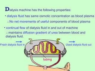 Dialysis machine has the following properties:
• dialysis fluid has same osmotic concentration as blood plasma
∴No net movements of useful components of blood plasma
Fresh dialysis fluid in Used dialysis fluid out
• continual flow of dialysis fluid in and out of machine
∴maintains diffusion gradient of urea between blood and
dialysis fluid.
tubing
 
