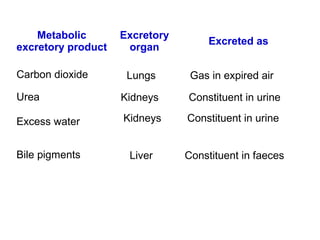 Metabolic
excretory product
Excretory
organ
Excreted as
Carbon dioxide
Urea
Excess water
Bile pigments
Lungs Gas in expired air
Kidneys Constituent in urine
Kidneys Constituent in urine
Liver Constituent in faeces
 