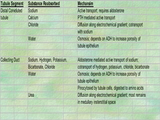 Tubule Segment Substance Reabsorbed              Mechansim
Distal Convoluted Sodium                         Active transport; requires aldosterone
tubule            Calcium                        PTH mediated active transport
                  Chloride                       Diffusion along electrochemical gradient; cotransport
                                                 with sodium
                  Water                          Osmosis; depends on ADH to increase porosity of
                                                 tubule epithelium

Collecting Duct   Sodium, Hydrogen, Potassium,   Aldosterone mediated active transport of sodium;
                  Bicarbonate, Chloride          cotransport of hydrogen, potassium, chloride, bicarbonate
                  Water                          Osmosis; depends on ADH to increase porosity of
                                                 tubule epithelium
                                                 Pinocytosed by tubule cells, digested to amino acids
                  Urea                           Diffusion along electrochemical gradient; most remains
                                                 in medullary insterstitial space
 