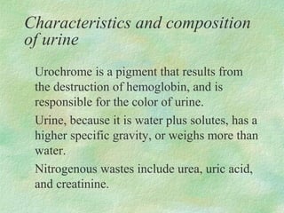 Characteristics and composition
of urine
 Urochrome is a pigment that results from
 the destruction of hemoglobin, and is
 responsible for the color of urine.
 Urine, because it is water plus solutes, has a
 higher specific gravity, or weighs more than
 water.
 Nitrogenous wastes include urea, uric acid,
 and creatinine.
 
