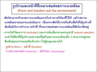 รูปร่ างและหน้ าที่ท่ เหมาะสมต่ อสภาวะแวดล้ อม
                             ี
           (Form and function suit the environment)
-สัตว์ สามารถรักษาสภาวะแวดล้ อมภายในร่ างกายให้ คงที่ไว้ ได้ แม้ ว่าสภาวะ
 แวดล้ อมภายนอกจะแปรผันมาก เนื่องจากสัตว์ มการปรับตัวเพื่อให้ ได้ รูปร่ างที่
                                                    ี
 สัมพันธ์ กับการทางาน (หน้ าที่) ที่เหมาะสมต่ อสภาวะแวดล้ อมที่สัตว์ อาศัยอยู่
-การเกิดวิวัฒนาการ (evolution) และการคัดเลือกตามธรรมชาติ (natural selection)
 จะทาให้ สัตว์ ท่มีรูปร่ างเหมาะสมที่สุดในสภาวะแวดล้ อมนัน ๆ สามารถอยู่รอด
                  ี                                      ้
 สืบพันธุ์และถ่ ายทอดยีนดังกล่ าว ไปสู่ร่ ุ นลูกหลานได้
  :รูปร่ าง (form) – หน้ าที่ (function)
  :กายวิภาคศาสตร์ (anatomy) – สรีรวิทยา (physiology)
 