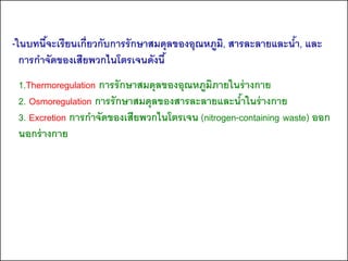 -ในบทนีจะเรียนเกี่ยวกับการรักษาสมดุลของอุณหภูม,ิ สารละลายและนา, และ
       ้                                                     ้
  การกาจัดของเสียพวกไนโตรเจนดังนี ้
 1.Thermoregulation การรักษาสมดุลของอุณหภูมภายในร่ างกาย
                                             ิ
 2. Osmoregulation การรักษาสมดุลของสารละลายและนาในร่ างกาย
                                                    ้
 3. Excretion การกาจัดของเสียพวกไนโตรเจน (nitrogen-containing waste) ออก
 นอกร่ างกาย
 