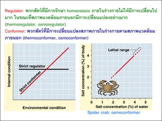 Regulator: พวกสัตว์ ท่มีการรักษา homeostasis ภายในร่ างกายไม่ ให้ มีการเปลี่ยนไป
                      ี
มาก ในขณะที่สภาพแวดล้ อมภายนอกมีการเปลี่ยนแปลงอย่ างมาก
(thermoregulator, osmoregulator)
Conformer: พวกสัตว์ ท่มีการเปลี่ยนแปลงสภาพภายในร่ างกายตามสภาพแวดล้ อม
                        ี
ภายนอก (thermoconformer, osmoconformer)




                                           Spider crab; osmoconformer
 