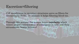 Excretion=filtering
Cell membranes in excretory structures serve as filters for
extracellular fluids. In animals it helps filtering blood too.
Through this process, the system keeps osmolarity which
means proper concentration of substances in cells and their
environment (water balance)
www.naturalbornscientist.com
 