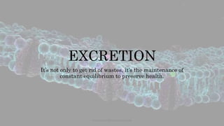 EXCRETION
It’s not only to get rid of wastes, it’s the maintenance of
constant equilibrium to preserve health.
www.naturalbornscientist.com
 