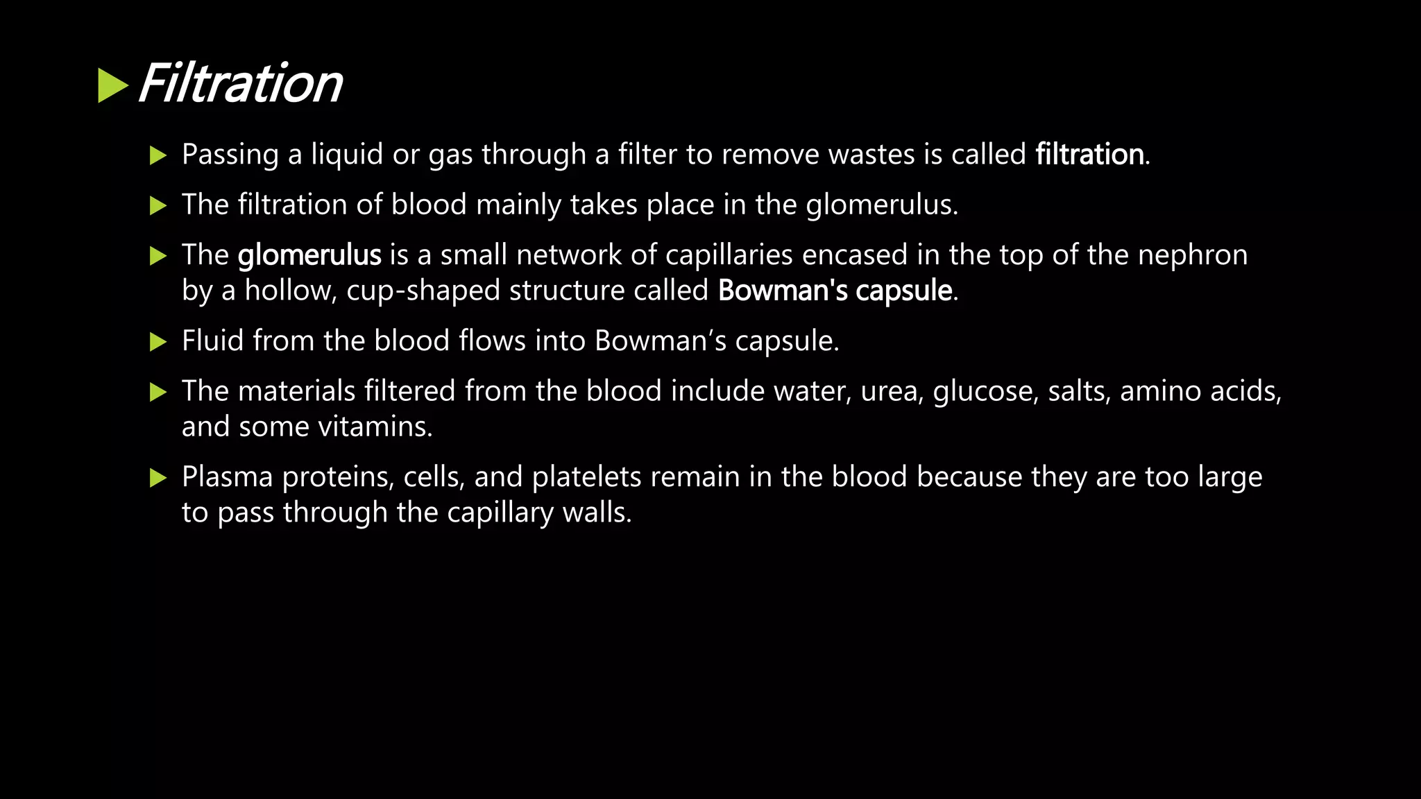 Filtration
 Passing a liquid or gas through a filter to remove wastes is called filtration.
 The filtration of blood mainly takes place in the glomerulus.
 The glomerulus is a small network of capillaries encased in the top of the nephron
by a hollow, cup-shaped structure called Bowman's capsule.
 Fluid from the blood flows into Bowman’s capsule.
 The materials filtered from the blood include water, urea, glucose, salts, amino acids,
and some vitamins.
 Plasma proteins, cells, and platelets remain in the blood because they are too large
to pass through the capillary walls.
 