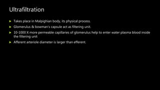 Ultrafiltration
 Takes place in Malpighian body, its physical process.
 Glomerulus & bowman’s capsule act as filtering unit.
 10-1000 X more permeable capillaries of glomerulus help to enter water plasma blood inside
the filtering unit
 Afferent arteriole diameter is larger than efferent.
 