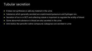 Tubular secretion
 It does not synthesize or add any material in the urine.
 Substance which generally secreted are creatinineand potassium and hydrogen ion.
 Secretion of ion in in DCT and collecting tubule is important to regulate the acidity of blood.
 Some abnormal substance in blood are also secreted in the urine.
 Anti-biotics like penicillin iodine compound, iodopyrace are secreted in urine
 