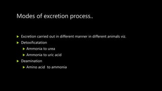 Modes of excretion process..
 Excretion carried out in different manner in different animals viz.
 Detoxificatation
 Ammonia to urea
 Ammonia to uric acid
 Deamination
 Amino acid to ammonia
 