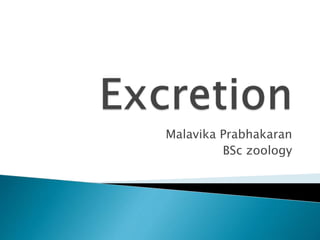 Malavika Prabhakaran
BSc zoology
 