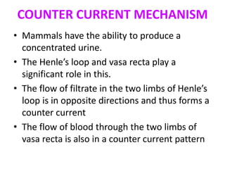 COUNTER CURRENT MECHANISM
• Mammals have the ability to produce a
concentrated urine.
• The Henle’s loop and vasa recta play a
significant role in this.
• The flow of filtrate in the two limbs of Henle’s
loop is in opposite directions and thus forms a
counter current
• The flow of blood through the two limbs of
vasa recta is also in a counter current pattern
 