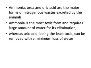 • Ammonia, urea and uric acid are the major
forms of nitrogenous wastes excreted by the
animals.
• Ammonia is the most toxic form and requires
large amount of water for its elimination,
• whereas uric acid, being the least toxic, can be
removed with a minimum loss of water
 
