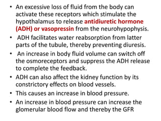 • An excessive loss of fluid from the body can
activate these receptors which stimulate the
hypothalamus to release antidiuretic hormone
(ADH) or vasopressin from the neurohypophysis.
• ADH facilitates water reabsorption from latter
parts of the tubule, thereby preventing diuresis.
• An increase in body fluid volume can switch off
the osmoreceptors and suppress the ADH release
to complete the feedback.
• ADH can also affect the kidney function by its
constrictory effects on blood vessels.
• This causes an increase in blood pressure.
• An increase in blood pressure can increase the
glomerular blood flow and thereby the GFR
 