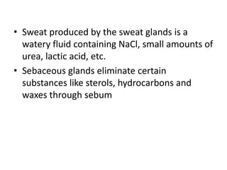 • Sweat produced by the sweat glands is a
watery fluid containing NaCl, small amounts of
urea, lactic acid, etc.
• Sebaceous glands eliminate certain
substances like sterols, hydrocarbons and
waxes through sebum
 