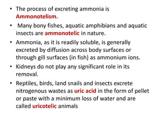 • The process of excreting ammonia is
Ammonotelism.
• Many bony fishes, aquatic amphibians and aquatic
insects are ammonotelic in nature.
• Ammonia, as it is readily soluble, is generally
excreted by diffusion across body surfaces or
through gill surfaces (in fish) as ammonium ions.
• Kidneys do not play any significant role in its
removal.
• Reptiles, birds, land snails and insects excrete
nitrogenous wastes as uric acid in the form of pellet
or paste with a minimum loss of water and are
called uricotelic animals
 