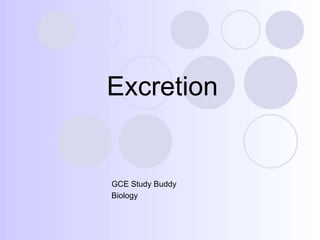 Excretion
GCE Study Buddy
Biology
 