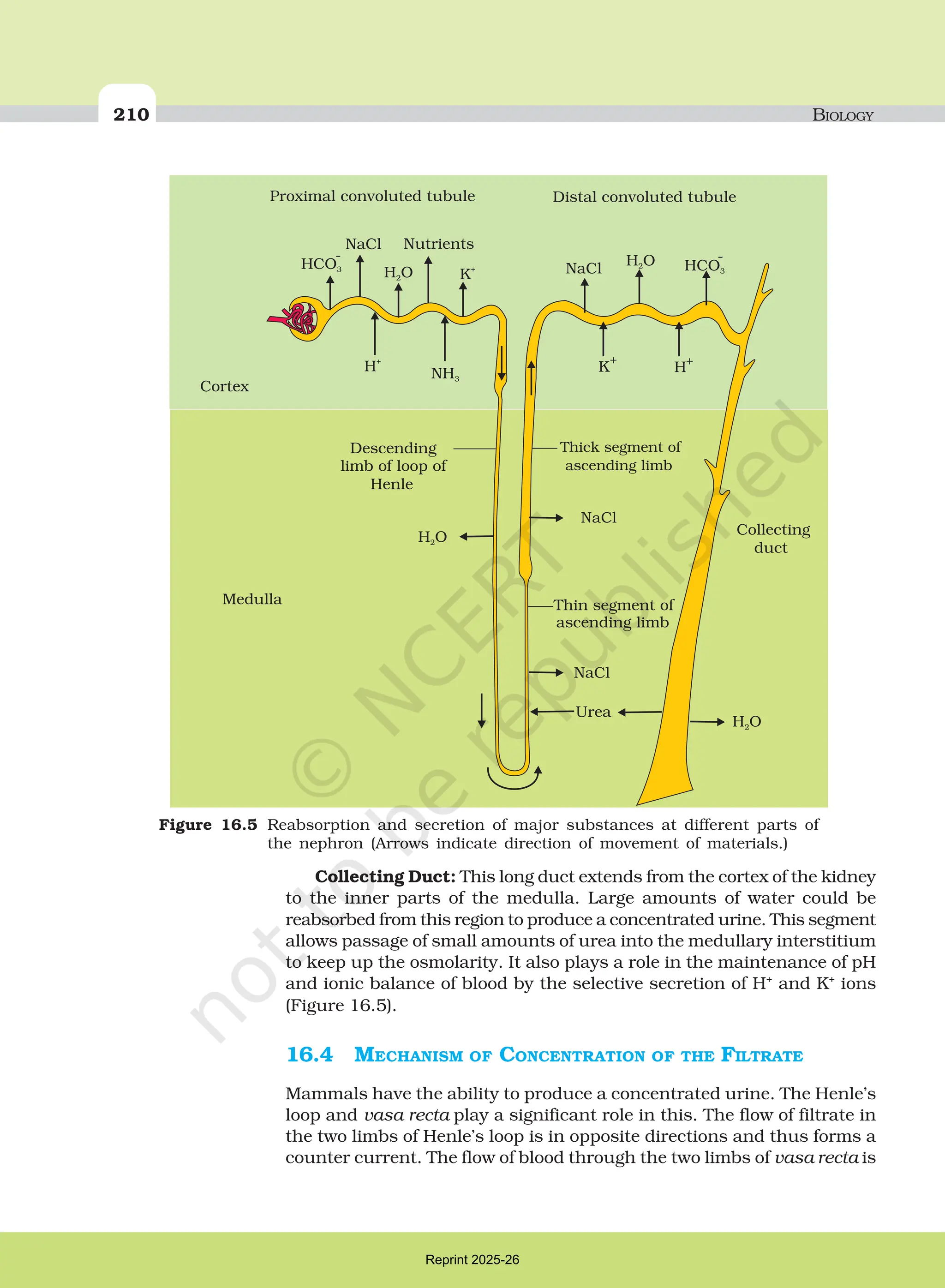 Excreatory products and there elimination | PDF