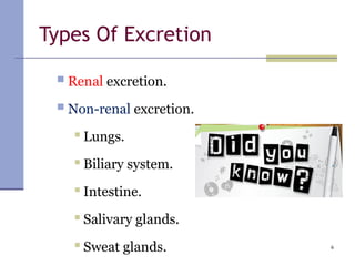 excretion bio pharm notes Bpharm/pharmd. | PPTX