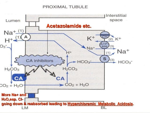 Acetazolamide Diamox Over The Counter