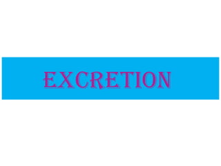 Excretion - Structure of Nephron and its detailed description. | PPT