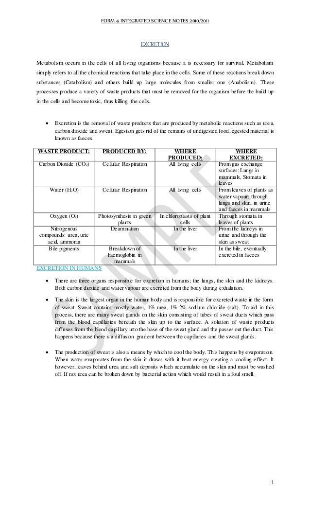 Excretion1