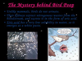 Excretion | PPT
