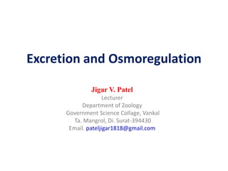 Excretion and Osmoregulation
Jigar V. Patel
Lecturer
Department of Zoology
Government Science Collage, Vankal
Ta. Mangrol, Di. Surat-394430
Email. pateljigar1818@gmail.com
 