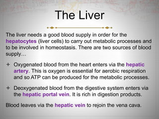 The Liver
The liver needs a good blood supply in order for the
hepatocytes (liver cells) to carry out metabolic processes and
to be involved in homeostasis. There are two sources of blood
supply…
 Oxygenated blood from the heart enters via the hepatic
artery. This is oxygen is essential for aerobic respiration
and so ATP can be produced for the metabolic processes.
 Deoxygenated blood from the digestive system enters via
the hepatic portal vein. It is rich in digestion products.
Blood leaves via the hepatic vein to rejoin the vena cava.
 