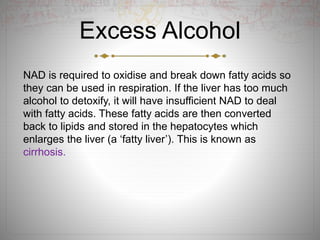 Excess Alcohol
NAD is required to oxidise and break down fatty acids so
they can be used in respiration. If the liver has too much
alcohol to detoxify, it will have insufficient NAD to deal
with fatty acids. These fatty acids are then converted
back to lipids and stored in the hepatocytes which
enlarges the liver (a ‘fatty liver’). This is known as
cirrhosis.
 