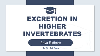 Priya Rathore
EXCRETION IN
HIGHER
INVERTEBRATES
M.Sc 1st Sem
 