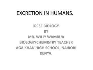 EXCRETION IN HUMANS.
IGCSE BIOLOGY.
BY
MR. WILLY WAMBUA
BIOLOGY/CHEMISTRY TEACHER
AGA KHAN HIGH SCHOOL, NAIROBI
KENYA.
 