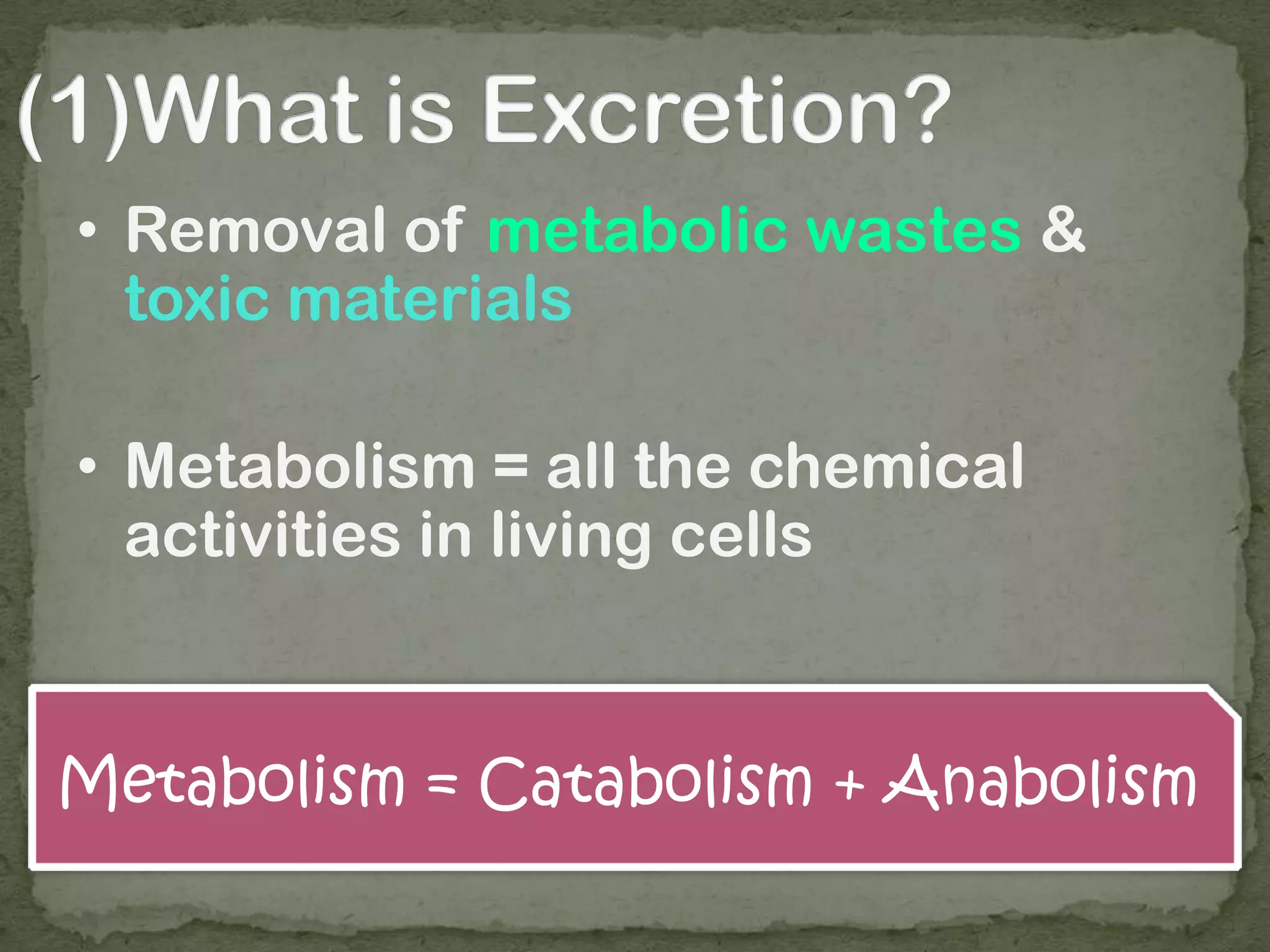 • Removal of metabolic wastes &
toxic materials
• Metabolism = all the chemical
activities in living cells
Metabolism = Catabolism + Anabolism
 