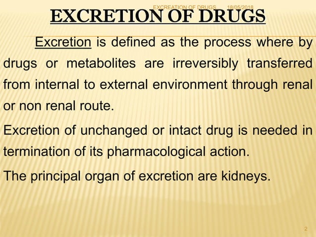 Excretion of drug | PPT
