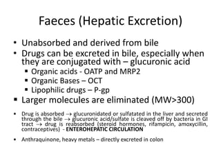 Faeces (Hepatic Excretion)
• Unabsorbed and derived from bile
• Drugs can be excreted in bile, especially when
they are conjugated with – glucuronic acid
 Organic acids - OATP and MRP2
 Organic Bases – OCT
 Lipophilic drugs – P-gp
 Larger molecules are eliminated (MW>300)
• Drug is absorbed  glucuronidated or sulfatated in the liver and secreted
through the bile  glucuronic acid/sulfate is cleaved off by bacteria in GI
tract  drug is reabsorbed (steroid hormones, rifampicin, amoxycillin,
contraceptives) - ENTEROHEPATIC CIRCULATION
• Anthraquinone, heavy metals – directly excreted in colon
 