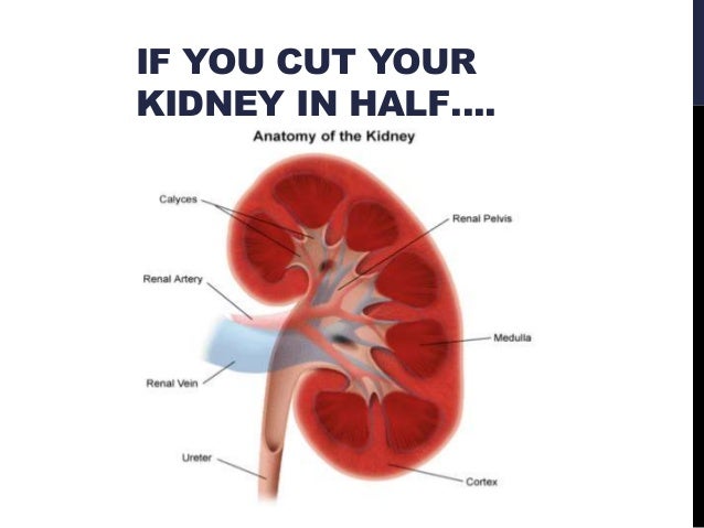 See the source image