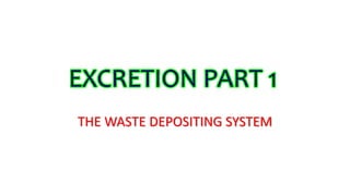 THE WASTE DEPOSITING SYSTEM
EXCRETION PART 1
 