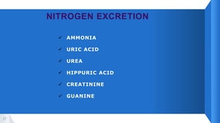 Excretion patterns | PPTX